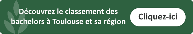 classement-bachelors-design-toulouse
