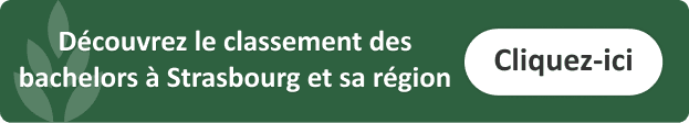 classement-bachelor-assurance-strasbourg