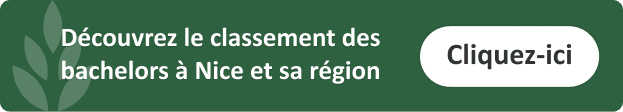 classement-bachelors-design-nice