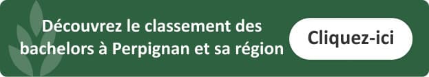 classement-bachelor-jeux-video-perpignan