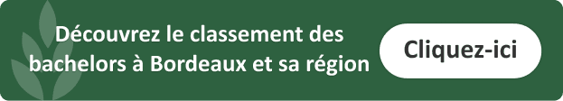 classement-bachelor-comptabilité-bordeaux