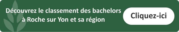bachelor-comptabilite-roche-sur-yon