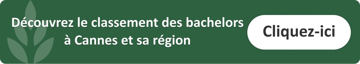 classement-bachelor-banque-cannes