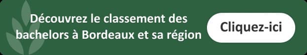 classement-bachelor-bordeaux