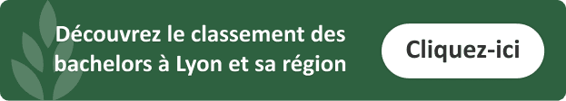 classement-bachelor-commerce-lyon-alternance