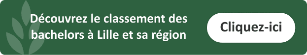 classement-bachelor-design-lille