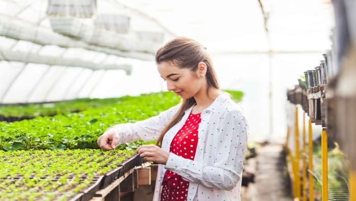 L’École supérieure d’agriculture (ESA) d’Angers ouvre une annexe dans les Yvelines