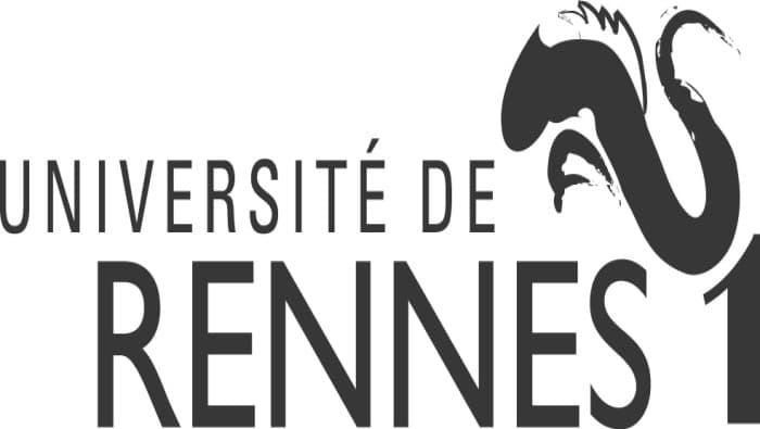 Les licences professionnelles Commerce International : des formations qualifiantes pour l’emploi