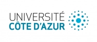 Université Côte d'Azur