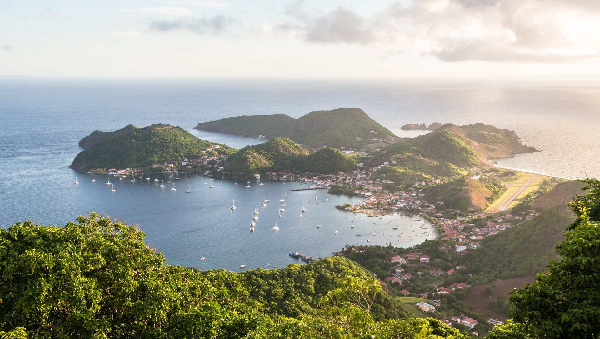 Bachelor en Développement Durable : ISC Paris Étend sa Présence en Guadeloupe 