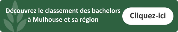 classement-bachelors-hôtellerie-mulhouse