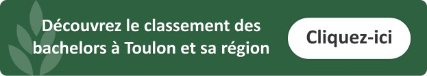 classement-bachelor-management-toulon