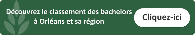 classement-bachelor-informatique-orleans