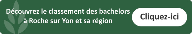 bachelor-digital-la-roche-sur-yon