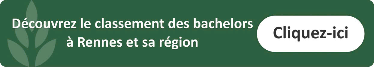 classement-bachelor-graphisme-rennes