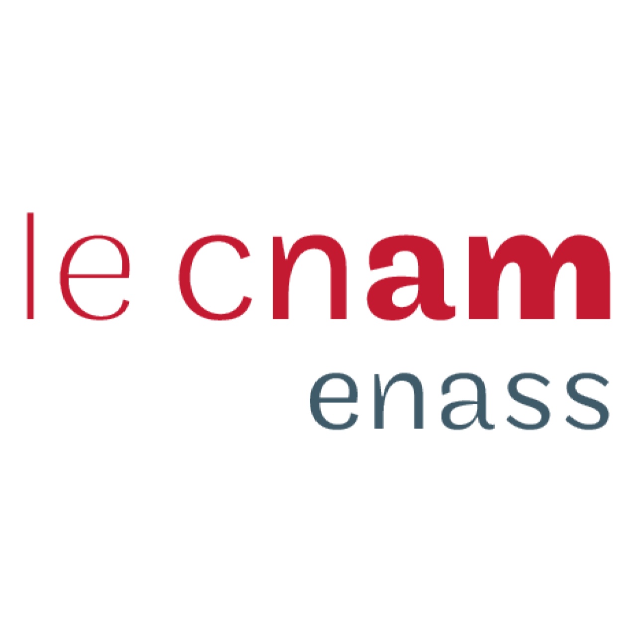 le cnam Enass - Ecole nationale d'assurance
