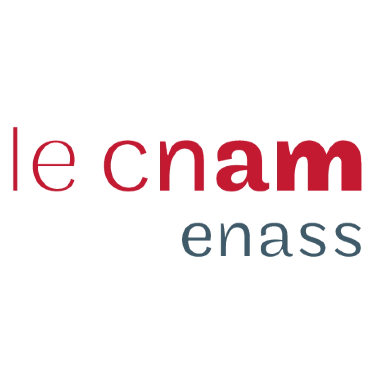 le cnam Enass - Ecole nationale d'assurance