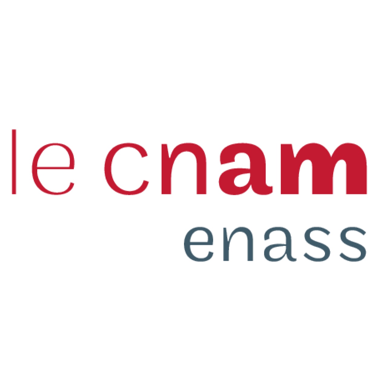 le cnam Enass - Ecole nationale d'assurance